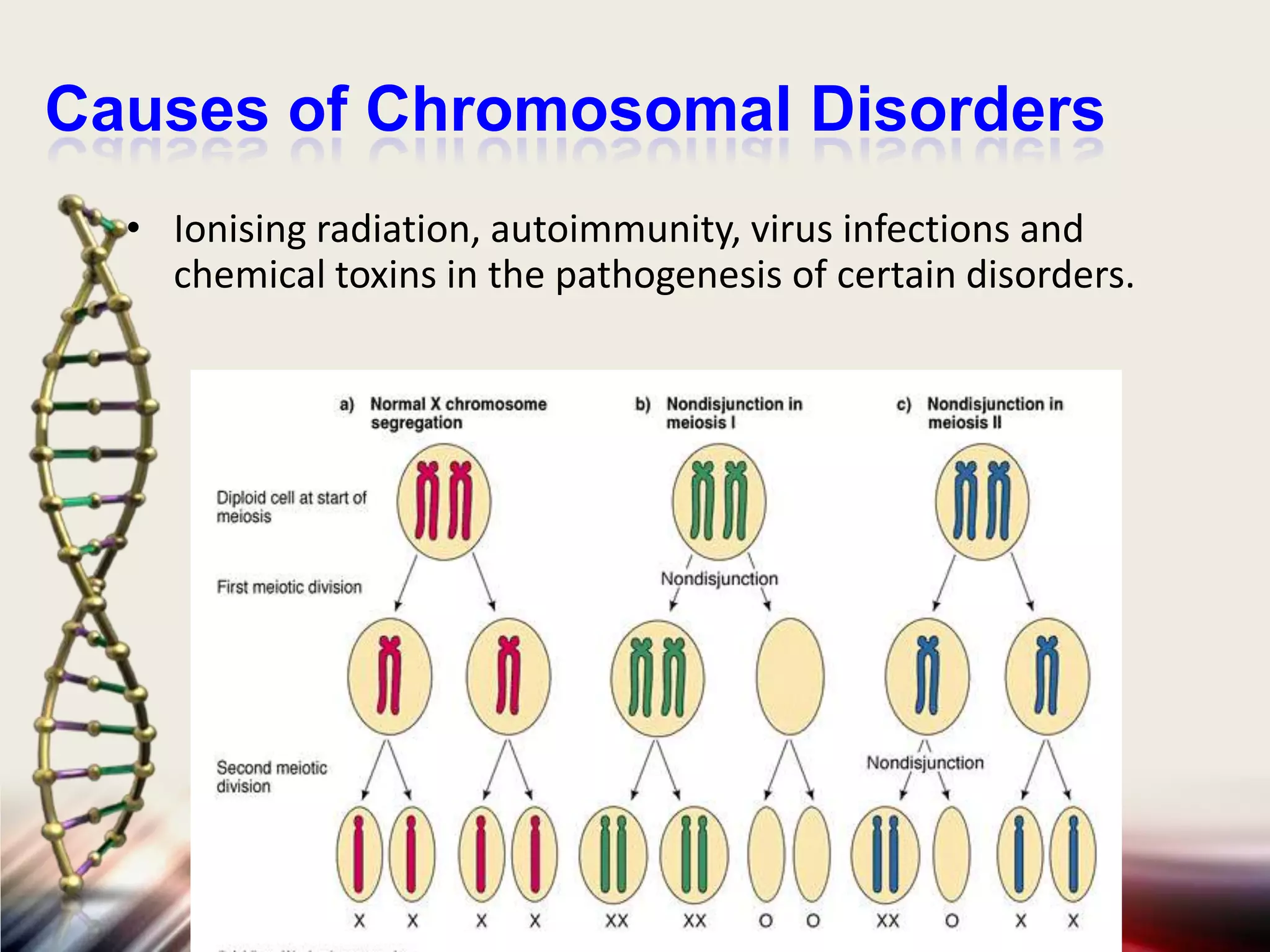 Chromosomes | PPTX