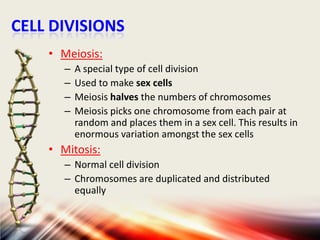 CELL DIVISIONS
• Meiosis:
–
–
–
–

A special type of cell division
Used to make sex cells
Meiosis halves the numbers of chromosomes
Meiosis picks one chromosome from each pair at
random and places them in a sex cell. This results in
enormous variation amongst the sex cells

• Mitosis:
– Normal cell division
– Chromosomes are duplicated and distributed
equally

 