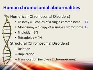 Human chromosomal abnormalities
Numerical (Chromosomal Disorders)
•
•
•
•

Trisomy = 3 copies of a single chromosome 47
Monosomy = 1 copy of a single chromosome 45
Triploidy = 3N
Tetraploidy = 4N

Structural (Chromosomal Disorders)
– Deletion
– Duplication
– Translocation (involves 2 chromosomes)

 