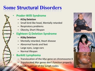 Some Structural Disorders
• Prader-Willi Syndrome
–
–
–
–

#15q Deletion
Small bird-like head, Mentally retarded
Respiratory problems
Obesity, Short lifespan

• Eighteen Q Deletion Syndrome
–
–
–
–
–

#18q Deletion
Mentally retarded, Heart disease
Abnormal hands and feet
Large eyes, Large ears
Normal lifespan

• Burkitt Lymphoma
– Translocation of the Myc gene on chromosome 8
– Translocated Myc genes don’t function properly
– Leads to cancer of the lymph nodes

 