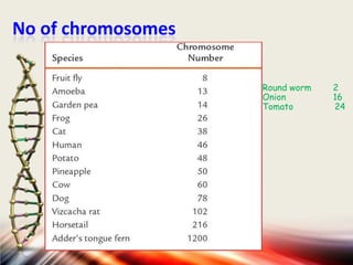 No of chromosomes
Round worm
Onion
Tomato

2
16
24

 