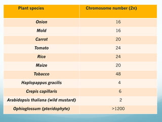 chromosome number of tobacco Development of a Method to