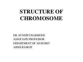 STRUCTURE OF
CHROMOSOME
DR. SUNDIP CHARMODE
ASSOCIATE PROFESSOR
DEPARTMENT OF ANATOMY
AIIMS RAJKOT
 
