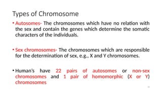 Types of Chromosome
• Autosomes- The chromosomes which have no relation with
the sex and contain the genes which determine the somatic
characters of the individuals.
• Sex chromosomes- The chromosomes which are responsible
for the determination of sex, e.g., X and Y chromosomes.
• Human’s have 22 pairs of autosomes or non-sex
chromosomes and 1 pair of homomorphic (X or Y)
chromosomes
10
 