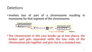 Deletions
• Involves loss of part of a chromosome resulting in
monosomy for that segment of the chromosome.
• The chromosome in this case breaks up at two places, the
broken part gets separated while the two ends of the
chromosome join together and give rise to a mutated one.
29
 