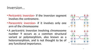 37
Inversion…
• Pericentric inversion- if the inversion segment
involves the centromere.
• Paracentric inversion- if it involves only one
arm of the chromosome
• A pericentric inversion involving chromosome
number 9 occurs as a common structural
variant or polymorphism, also known as a
heteromorphism, and is not thought to be of
any functional importance.
 