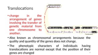 Translocations
• Also known as chromosomal arrangements because the
quality and quantity of the genes does not change.
• The phenotypic characters of individuals having
translocations are normal except that the position of their
genes are changed 38
• change in the
arrangement of genes
involving the transfer of
genetic material from
one chromosome to
another.
 