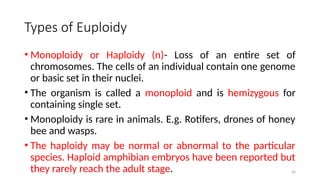 46
Types of Euploidy
• Monoploidy or Haploidy (n)- Loss of an entire set of
chromosomes. The cells of an individual contain one genome
or basic set in their nuclei.
• The organism is called a monoploid and is hemizygous for
containing single set.
• Monoploidy is rare in animals. E.g. Rotifers, drones of honey
bee and wasps.
• The haploidy may be normal or abnormal to the particular
species. Haploid amphibian embryos have been reported but
they rarely reach the adult stage.
 