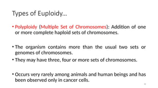 48
Types of Euploidy…
• Polyploidy (Multiple Set of Chromosomes): Addition of one
or more complete haploid sets of chromosomes.
• The organism contains more than the usual two sets or
genomes of chromosomes.
• They may have three, four or more sets of chromosomes.
• Occurs very rarely among animals and human beings and has
been observed only in cancer cells.
 