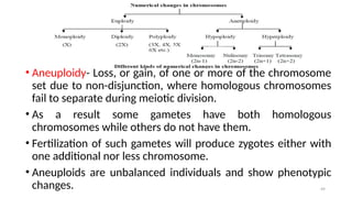 49
• Aneuploidy- Loss, or gain, of one or more of the chromosome
set due to non-disjunction, where homologous chromosomes
fail to separate during meiotic division.
• As a result some gametes have both homologous
chromosomes while others do not have them.
• Fertilization of such gametes will produce zygotes either with
one additional nor less chromosome.
• Aneuploids are unbalanced individuals and show phenotypic
changes.
 