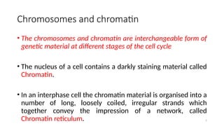 5
Chromosomes and chromatin
• The chromosomes and chromatin are interchangeable form of
genetic material at different stages of the cell cycle
• The nucleus of a cell contains a darkly staining material called
Chromatin.
• In an interphase cell the chromatin material is organised into a
number of long, loosely coiled, irregular strands which
together convey the impression of a network, called
Chromatin reticulum.
 