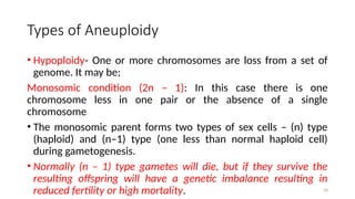 Types of Aneuploidy
• Hypoploidy- One or more chromosomes are loss from a set of
genome. It may be;
Monosomic condition (2n – 1): In this case there is one
chromosome less in one pair or the absence of a single
chromosome
• The monosomic parent forms two types of sex cells – (n) type
(haploid) and (n–1) type (one less than normal haploid cell)
during gametogenesis.
• Normally (n – 1) type gametes will die, but if they survive the
resulting offspring will have a genetic imbalance resulting in
reduced fertility or high mortality. 50
 