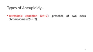 54
Types of Aneuploidy…
• Tetrasomic condition (2n+2): presence of two extra
chromosomes (2n + 2).
 
