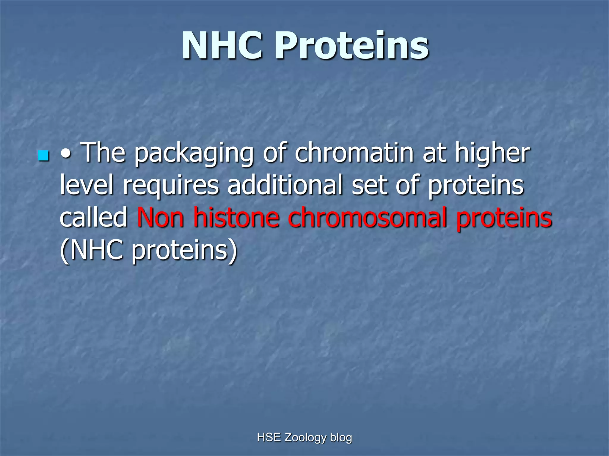 NHC Proteins 
 • The packaging of chromatin at higher 
level requires additional set of proteins 
called Non histone chromosomal proteins 
(NHC proteins) 
HSE Zoology blog 
 