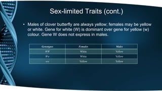 Sex-limited Traits (cont.)
• Males of clover butterfly are always yellow; females may be yellow
or white. Gene for white (W) is dominant over gene for yellow (w)
colour. Gene W does not express in males.
Genotypes Females Males
WW White Yellow
Ww White Yellow
ww Yellow Yellow
 