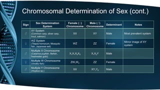 Chromosomal Determination of Sex (cont.)
Sign
Sex Determination
System
Female (♀)
Chromosome
Male (♂)
Chromosome
Determinant Notes
♂
XY System
(Common carp, silver carp,
trout, salmon)
XX XY Male Most prevalent system
♀
WZ System
(Tilapia hornorum, Mosquito
fish, Japanese eel)
WZ ZZ Female
Mirror image of XY
system
♂
Multiple X Chromosome
(Catarina pupfish, filefish,
freshwater gobi)
X1X1X2X2 X1X2Y Male
♀
Multiple W Chromosome
(Virolito fish)
ZW1W2 ZZ Female
♂
Multiple Y Chromosome
(Hoplius sp.)
XX XY1Y2 Male
 