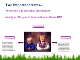 DNA, CHROMOSOMES & GENES | PPTX