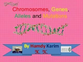 Chromosomes, Genes, 
Alleles and Mutations 
By Hamdy Karim 
H. K. 
 