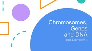 Chromosomes, genes and dna ppt | PPT