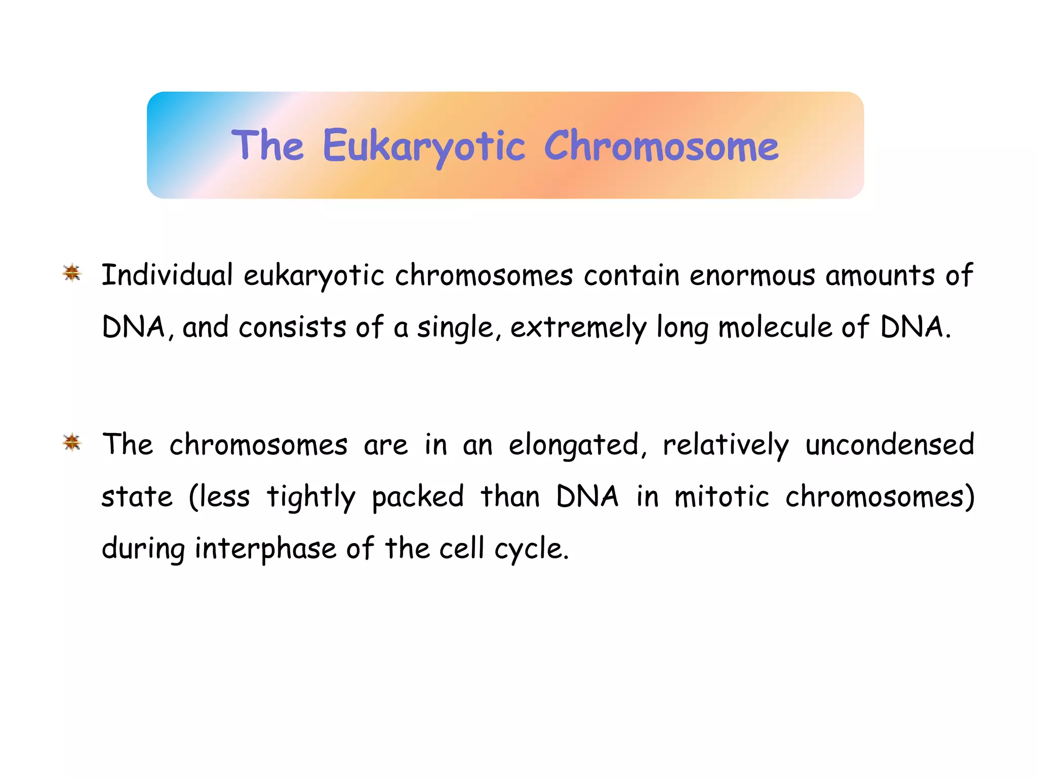 Chromosomes structure and function dr kamelsh shah psshda kadi ppt