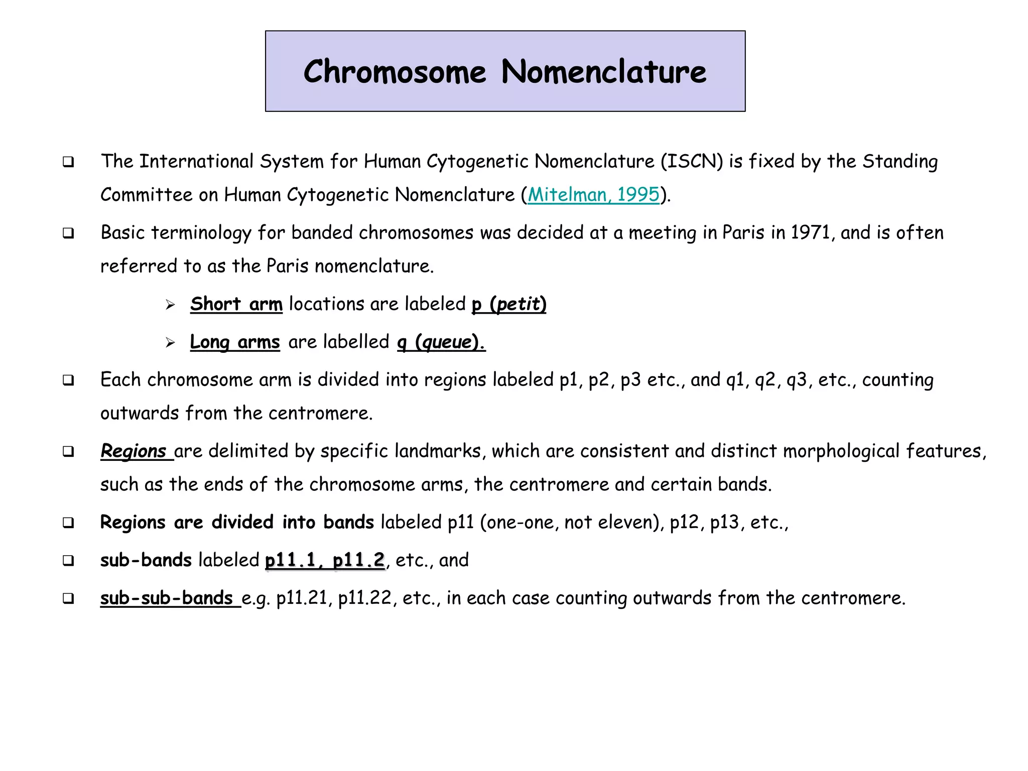 Chromosomes structure and function dr kamelsh shah psshda kadi ppt