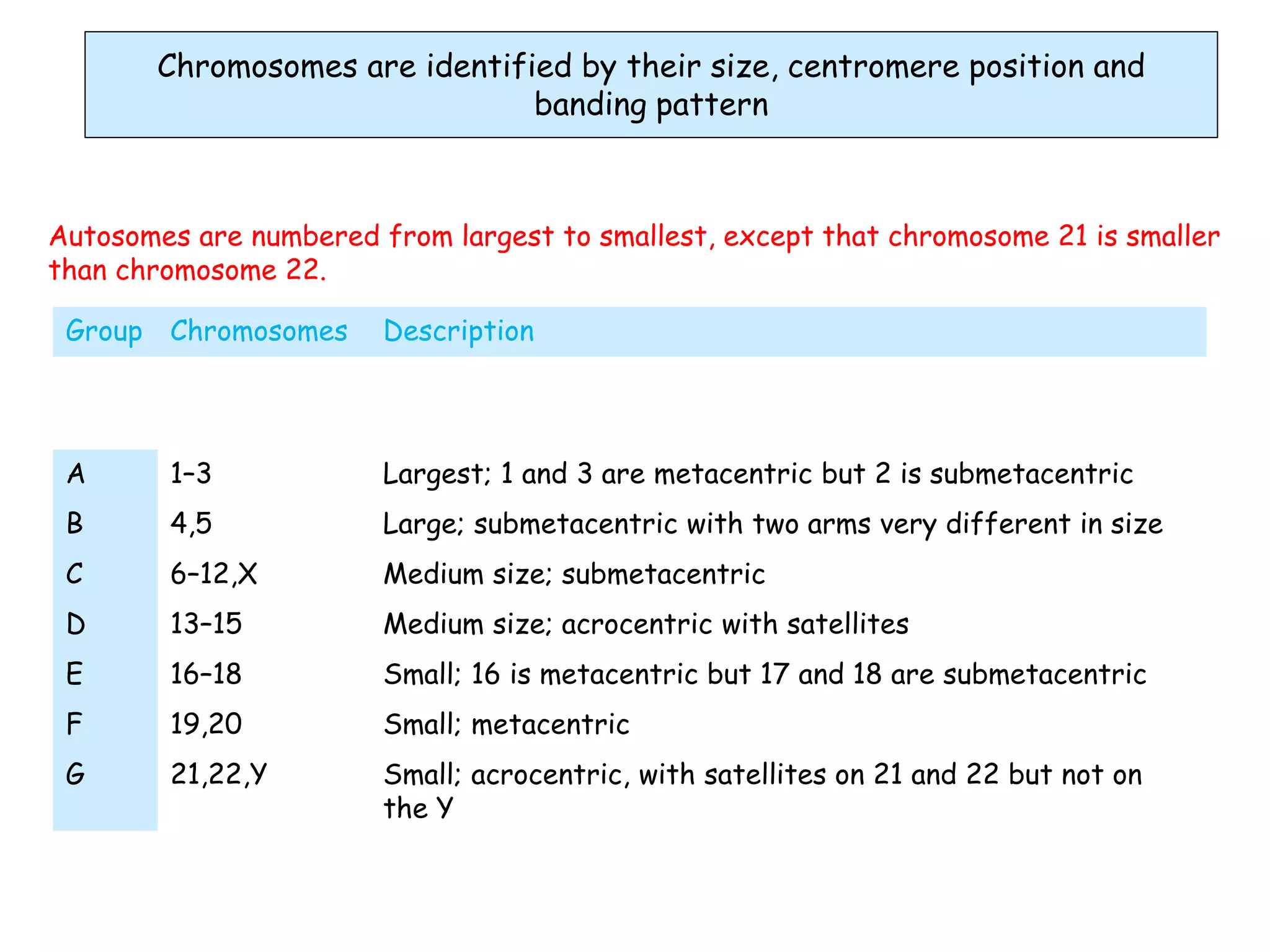 Chromosomes structure and function dr kamelsh shah psshda kadi ppt