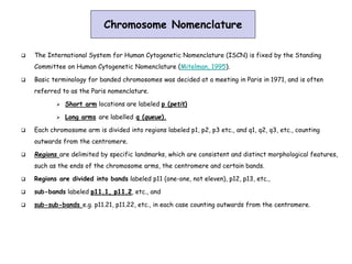 Chromosomes structure and function, Dr.Kamelsh shah, PSSHDA, KADI | PPT