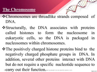 Chromosome str..pptx
