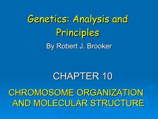 Genetics: Analysis and Principles By Robert J. Brooker CHAPTER 10 CHROMOSOME ORGANIZATION  AND MOLECULAR STRUCTURE 
