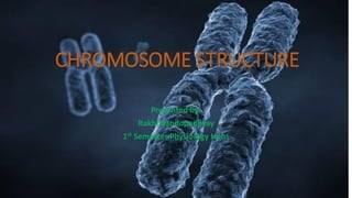 CHROMOSOME STRUCTURE
Presented by:
Rakhi Bandopadhyay
1st Semester Physiology Hons
 