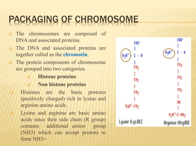 Chromosome structure and packaging of dna | PPTX | Biological Sciences ...