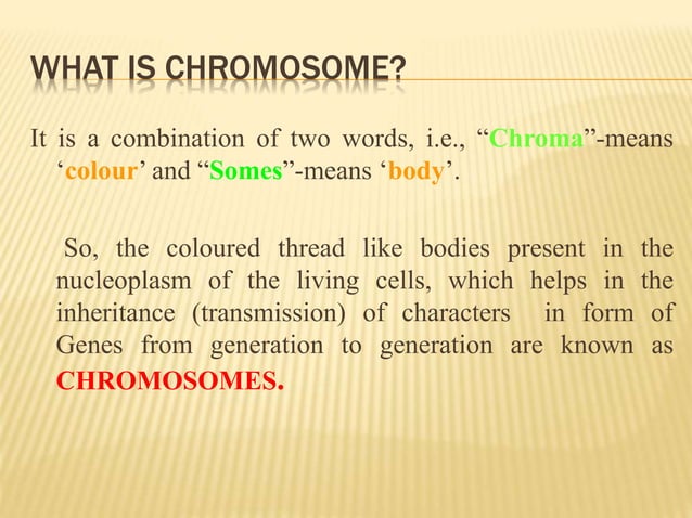 Chromosome structure and packaging of dna | PPTX | Biological Sciences ...