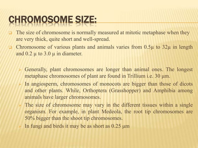 Chromosome structure and packaging of dna | PPTX | Biological Sciences ...