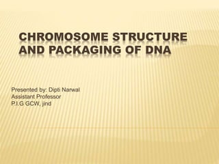 CHROMOSOME STRUCTURE
AND PACKAGING OF DNA
Presented by: Dipti Narwal
Assistant Professor
P.I.G GCW, jind
 