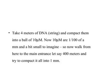 • Take 4 meters of DNA (string) and compact them
into a ball of 10µM. Now 10µM are 1/100 of a
mm and a bit small to imagine – so now walk from
here to the main entrance let say 400 meters and
try to compact it all into 1 mm.
 