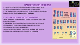 Chromosomes Types | PPTX