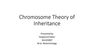 Chromosome Theory of
Inheritance
Presented by
Hargovind laxkar
161103007
M.Sc. Biotechnology
 