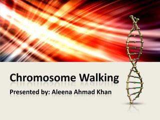 Chromosome Walking
Presented by: Aleena Ahmad Khan

 