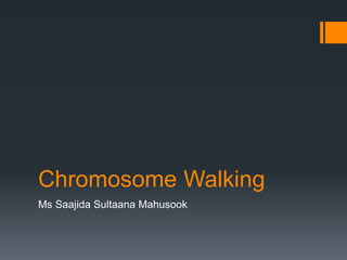 Chromosome Walking
Ms Saajida Sultaana Mahusook
 