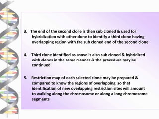 3. The end of the second clone is then sub cloned & used for
hybridization with other clone to identify a third clone having
overlapping region with the sub cloned end of the second clone
4. Third clone identified as above is also sub cloned & hybridized
with clones in the same manner & the procedure may be
continued.
5. Restriction map of each selected clone may be prepared &
compared to know the regions of overlapping so that
identification of new overlapping restriction sites will amount
to walking along the chromosome or along a long chromosome
segments.
 