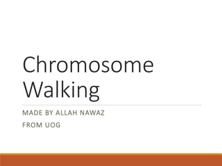 Chromosome
Walking
MADE BY ALLAH NAWAZ
FROM UOG
 