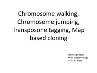 Chromosome walking,
Chromosome jumping,
Transposone tagging, Map
based cloning
Promila Sheoran
Ph.D. Biotechnology
GJU S&T Hisar
 