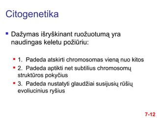  Dažymas išryškinant ruožuotumą yra
naudingas keletu požiūriu:
 1. Padeda atskirti chromosomas vieną nuo kitos
 2. Padeda aptikti net subtilius chromosomų
struktūros pokyčius
 3. Padeda nustatyti glaudžiai susijusių rūšių
evoliucinius ryšius
Citogenetika
7-12
 