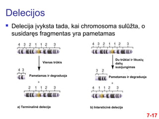 7-17
 Delecija įvyksta tada, kai chromosoma sulūžta, o
susidaręs fragmentas yra pametamas
Delecijos
a) Terminalinė delecija b) Intersticinė delecija
Vienas trūkis
Pametamas ir degraduoja Pametamas ir degraduoja
Du trūkiai ir likusių
dalių
susijungimas
 