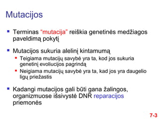 Mutacijos
 Terminas “mutacija” reiškia genetinės medžiagos
paveldimą pokytį
 Mutacijos sukuria alelinį kintamumą
 Teigiama mutacijų savybė yra ta, kod jos sukuria
genetinį evoliucijos pagrindą
 Neigiama mutacijų savybė yra ta, kad jos yra daugelio
ligų priežastis
 Kadangi mutacijos gali būti gana žalingos,
organizmuose išsivystė DNR reparacijos
priemonės
7-3
 