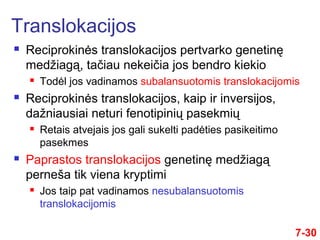 7-30
 Reciprokinės translokacijos pertvarko genetinę
medžiagą, tačiau nekeičia jos bendro kiekio
 Todėl jos vadinamos subalansuotomis translokacijomis
 Reciprokinės translokacijos, kaip ir inversijos,
dažniausiai neturi fenotipinių pasekmių
 Retais atvejais jos gali sukelti padėties pasikeitimo
pasekmes
 Paprastos translokacijos genetinę medžiagą
perneša tik viena kryptimi
 Jos taip pat vadinamos nesubalansuotomis
translokacijomis
Translokacijos
 