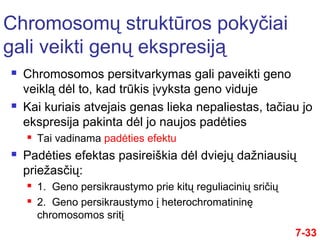  Chromosomos persitvarkymas gali paveikti geno
veiklą dėl to, kad trūkis įvyksta geno viduje
 Kai kuriais atvejais genas lieka nepaliestas, tačiau jo
ekspresija pakinta dėl jo naujos padėties
 Tai vadinama padėties efektu
 Padėties efektas pasireiškia dėl dviejų dažniausių
priežasčių:
 1. Geno persikraustymo prie kitų reguliacinių sričių
 2. Geno persikraustymo į heterochromatininę
chromosomos sritį
Chromosomų struktūros pokyčiai
gali veikti genų ekspresiją
7-33
 