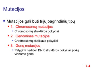 Mutacijos
7-4
 Mutacijos gali būti trijų pagrindinių tipų
 1. Chromosomų mutacijos

Chromosomų struktūros pokyčiai
 2. Genominės mutacijos

Chromosomų skaičiaus pokyčiai
 3. Genų mutacijos

Palyginti nedideli DNR struktūros pokyčiai, įvykę
viename gene
 