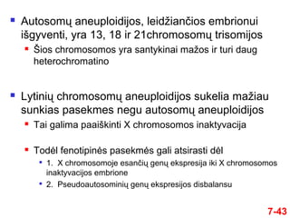 7-43
 Autosomų aneuploidijos, leidžiančios embrionui
išgyventi, yra 13, 18 ir 21chromosomų trisomijos
 Šios chromosomos yra santykinai mažos ir turi daug
heterochromatino
 Lytinių chromosomų aneuploidijos sukelia mažiau
sunkias pasekmes negu autosomų aneuploidijos
 Tai galima paaiškinti X chromosomos inaktyvacija
 Todėl fenotipinės pasekmės gali atsirasti dėl

1. X chromosomoje esančių genų ekspresija iki X chromosomos
inaktyvacijos embrione

2. Pseudoautosominių genų ekspresijos disbalansu
 