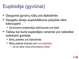 7-45
 Dauguma gyvūnų rūšių yra diploidinės
 Daugeliu atveju euploidiškumo pokyčiai nėra
toleruojami
 Gyvūnams poliploidija dažniausiai yra letali
 Tačiau kai kurie euploidijos variantai yra natūraliai
sutinkami gamtoje
 Bičių patelės yra diploidinės
 Bičių patinai (tranai) yra monoploidai

Jie turi tiktai vieną chromosomų rinkinį
Euploidija (gyvūnai)
 